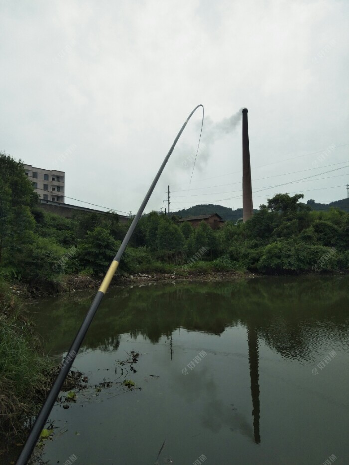 我错了，这照片没拍好呀！拍