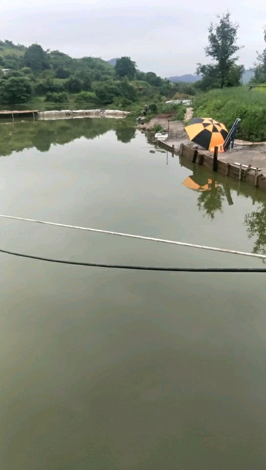 金竹镇金山休闲钓场