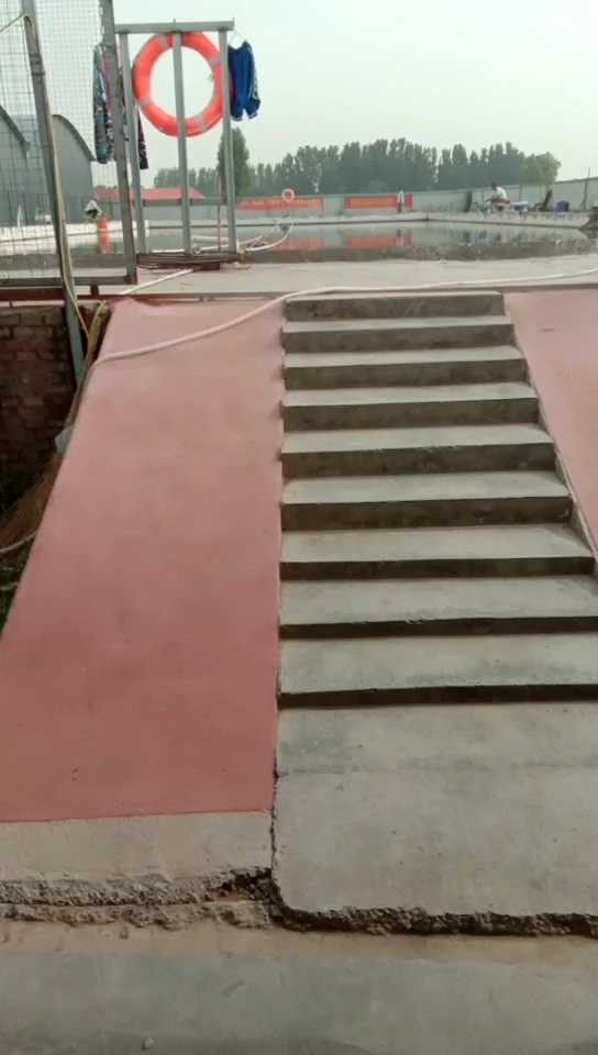 观赏鱼钓场俱乐部