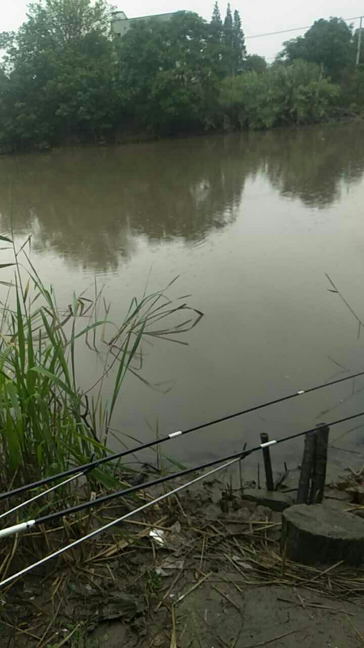 浮桥邮政银行旁大河