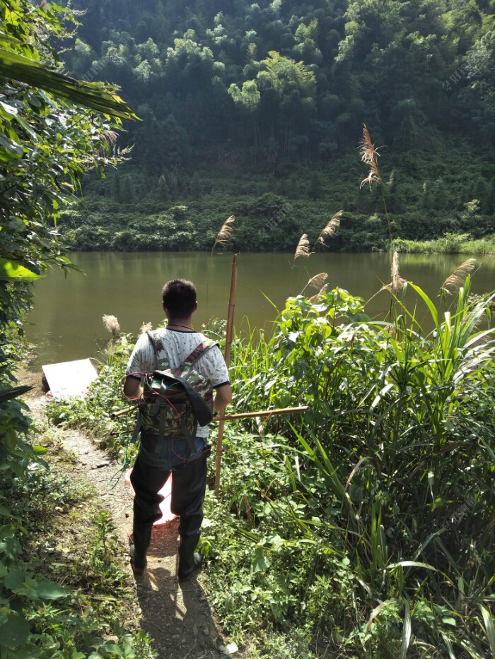 可恶的电工还是老同学居然电我钓点！❓❓❓