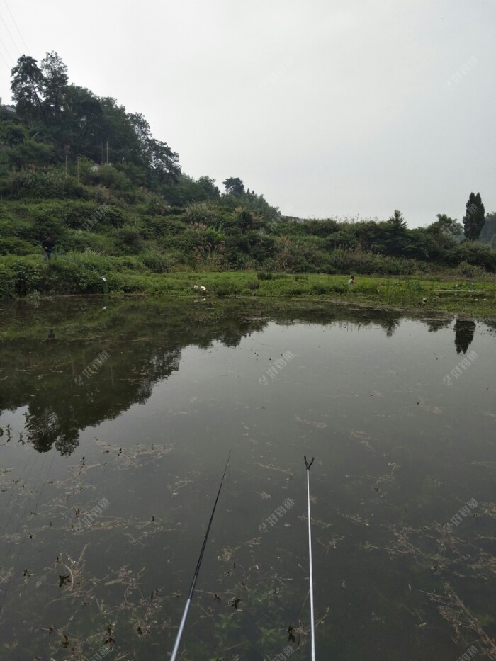 对面也有一钓友在另一处钓。