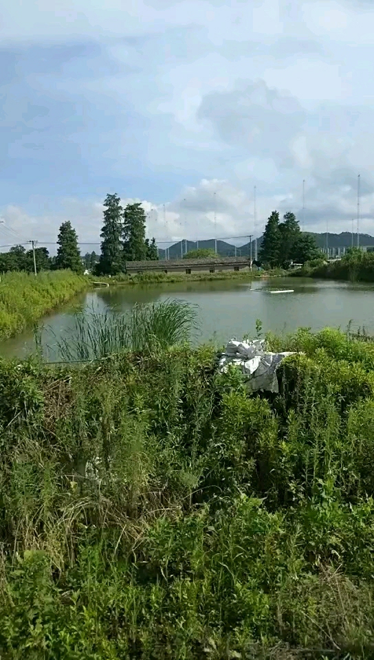 宁波鄞州区邱隘万令钓场