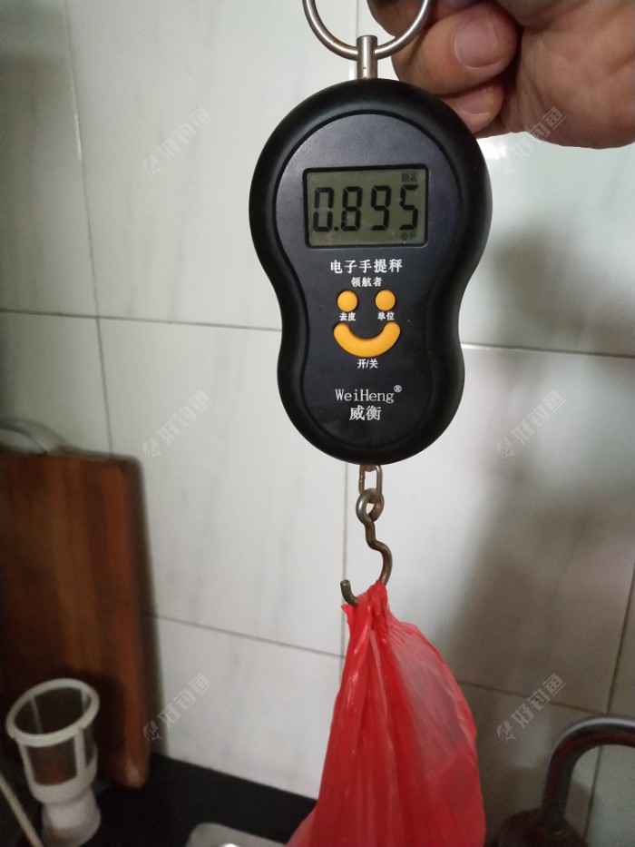 IMG_20190721_094248.jpeg