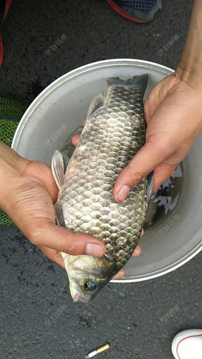 大家来猜猜多重