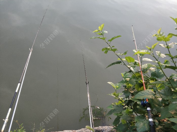 口不好，另加一个小钓竿?