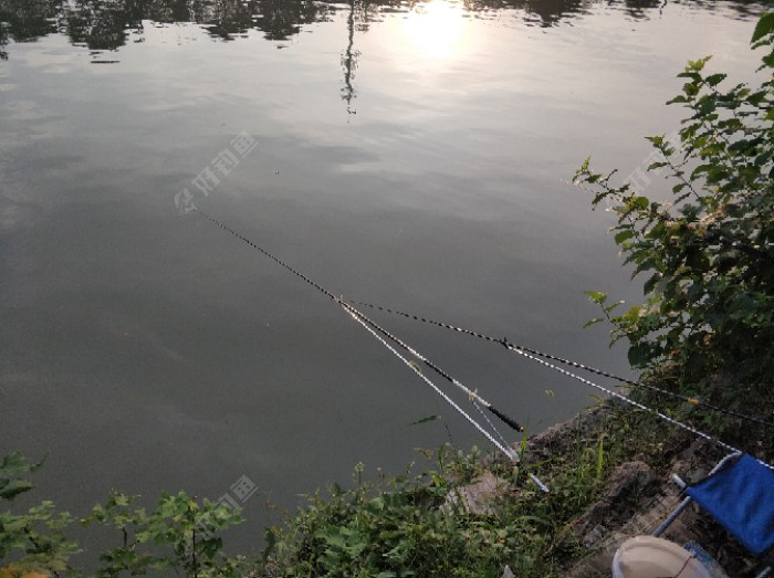 双干齐下，习惯动作