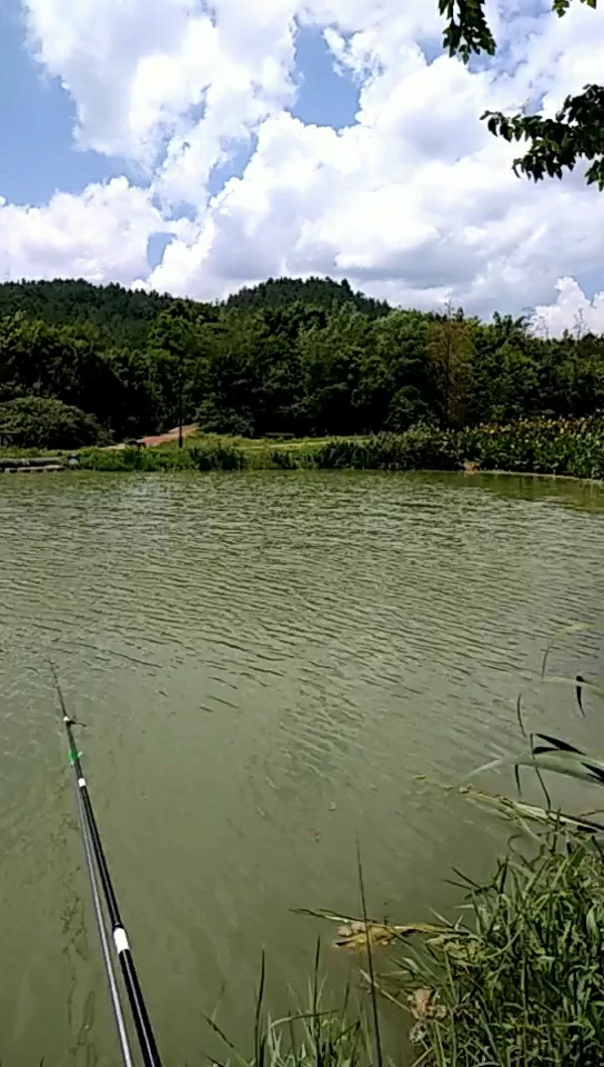 龙里八一公园里