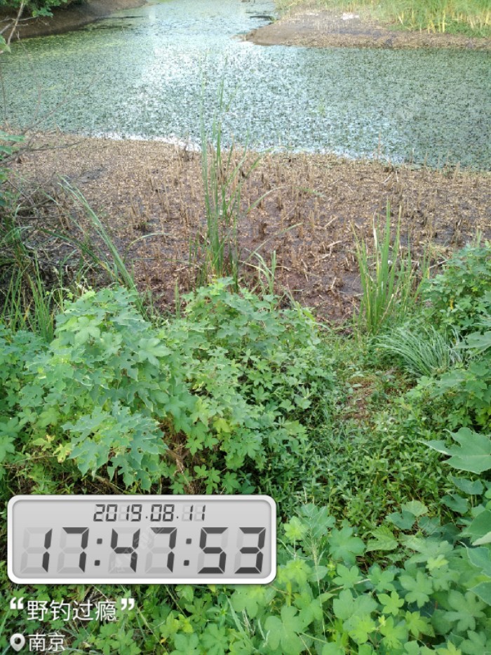 这边看着比较浅，应该能试试底钓效果的。