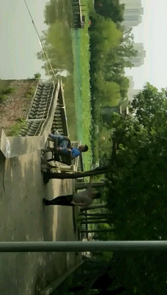 丰荷农庄休闲垂钓中心