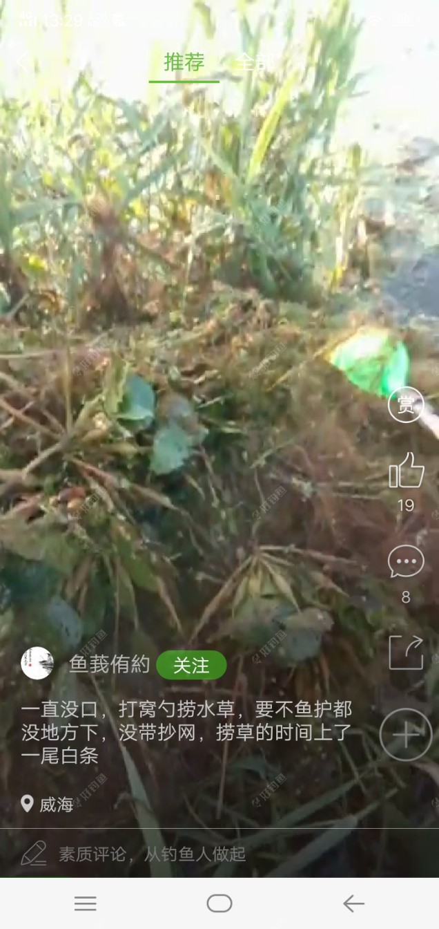 清理路的时候，冷丁一看，浮
