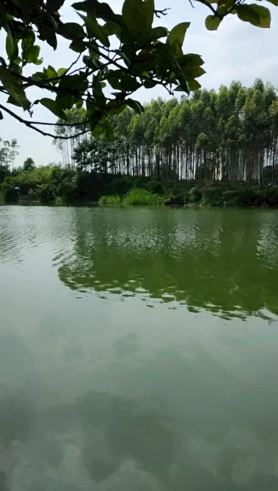 蒙村河敏村河段