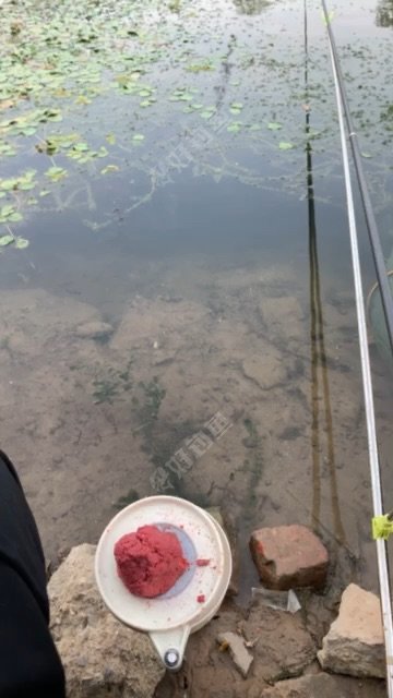  沙澧河南交汇处