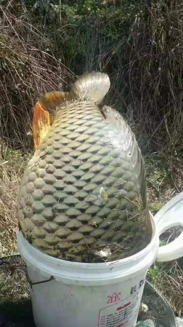 cjd0iVq1Ai3coQFvxOKf0HBGhTLlY.jpeg