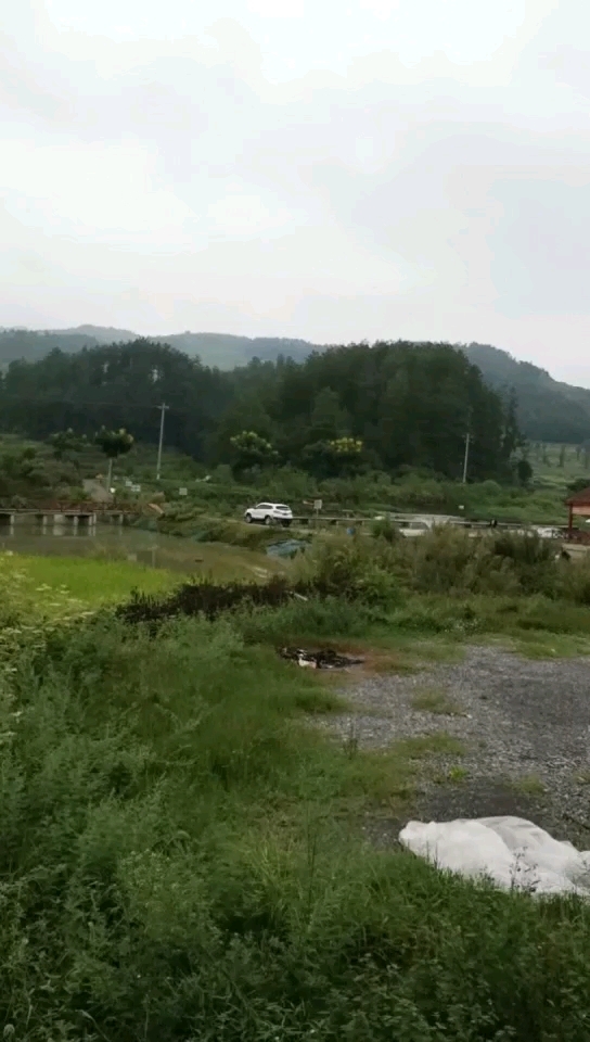 绥阳宋村坝钓场