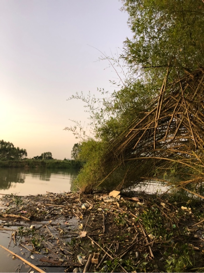 8点了，太阳出来了，右边还是很多垃圾堆