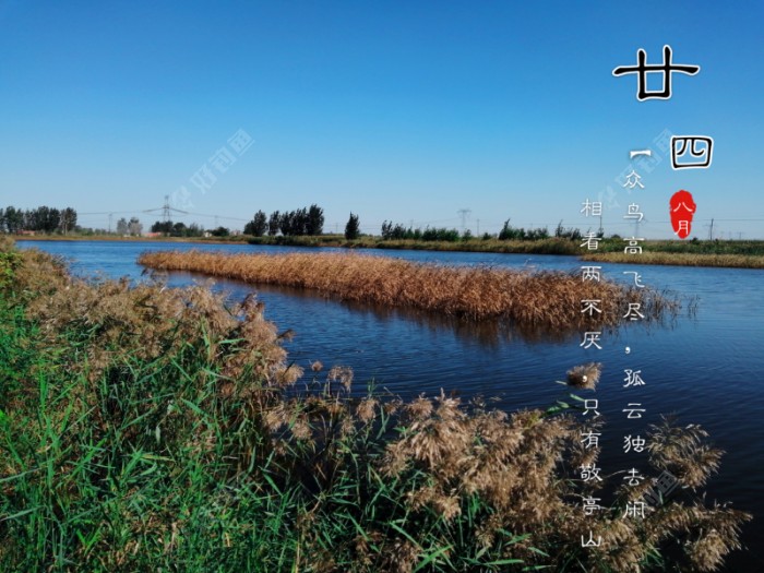 叫大家看看钓点的风景，没毛