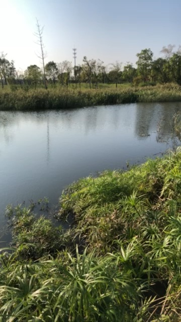 台州湾集聚区公园