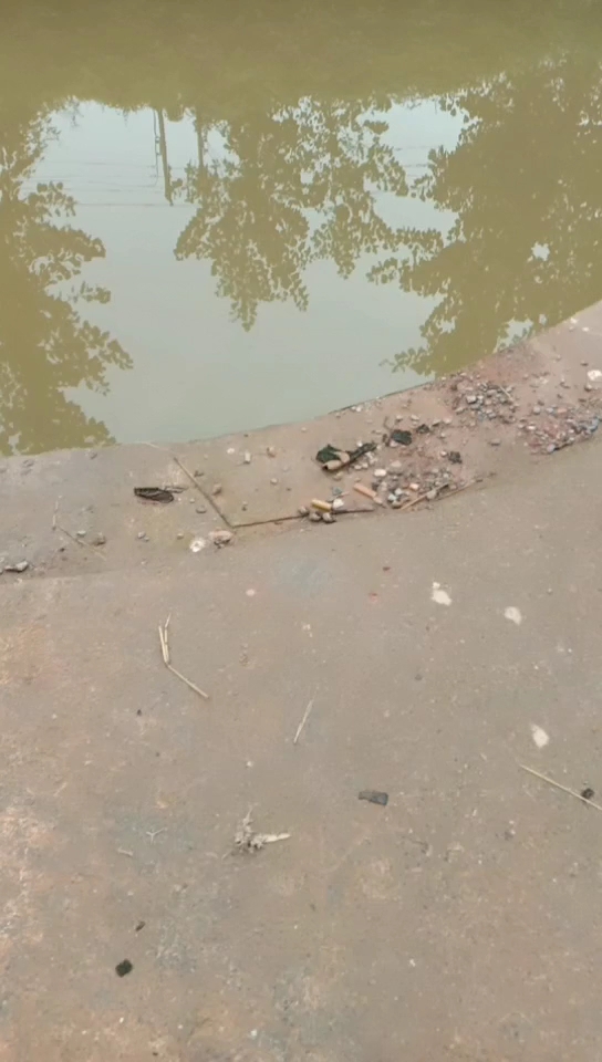 汉寿龙珠湖公园旁边的那条港子