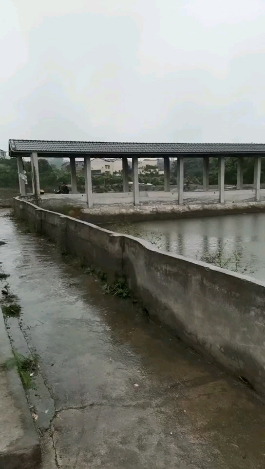 奔利生态度假村