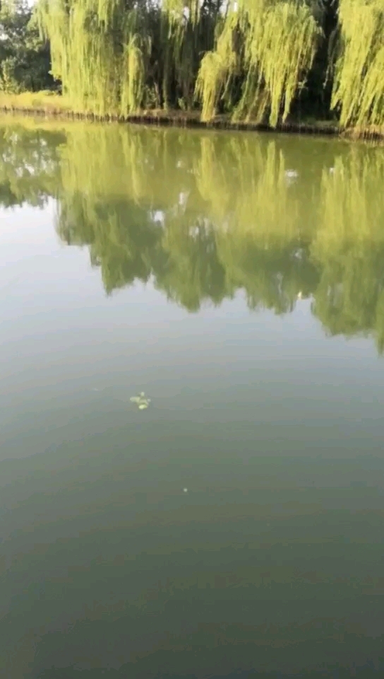 艾达科技园旁河流