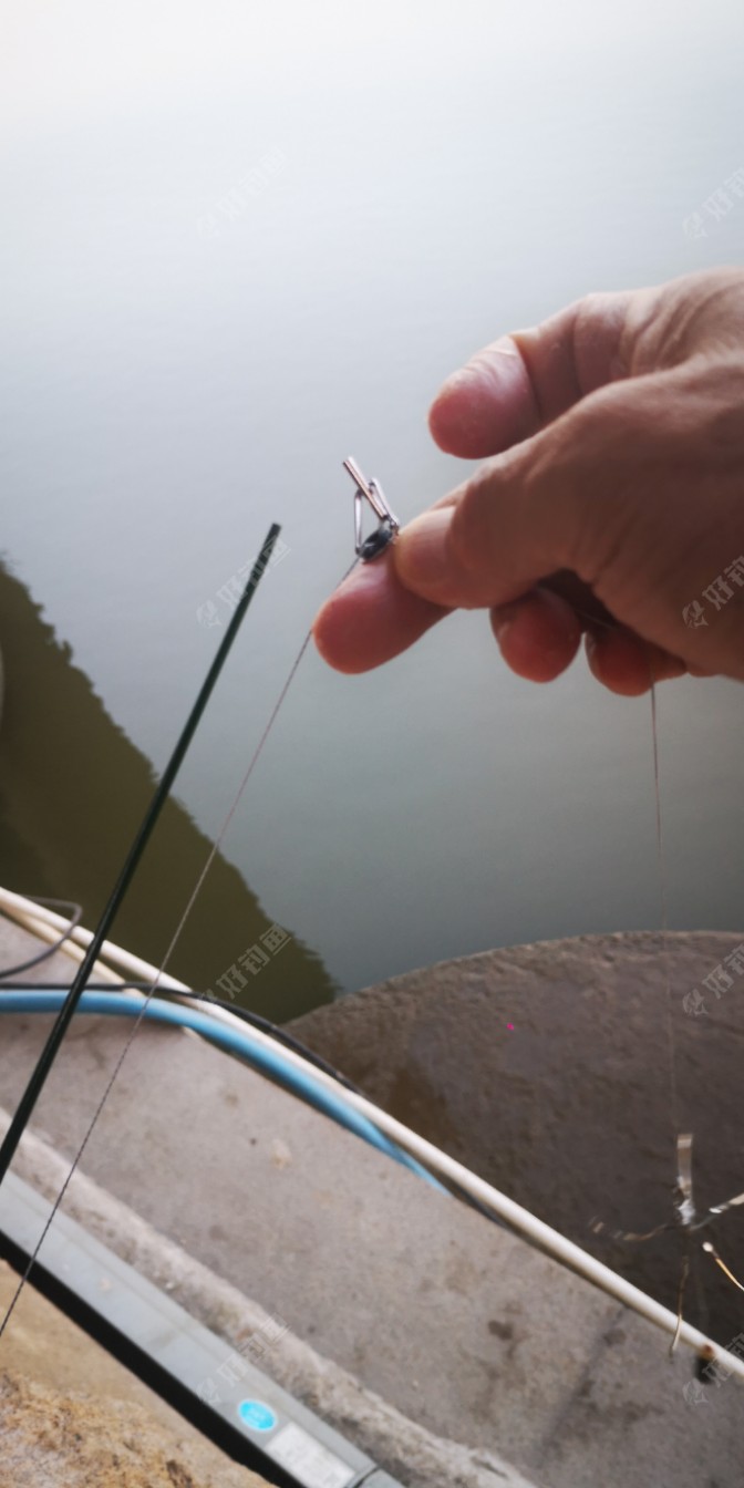 这狼王瑞丽海杆，质量真的不