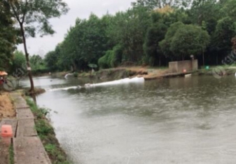 郫县红光镇柴火鸡