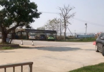 佛山绿沙岛钓鱼场