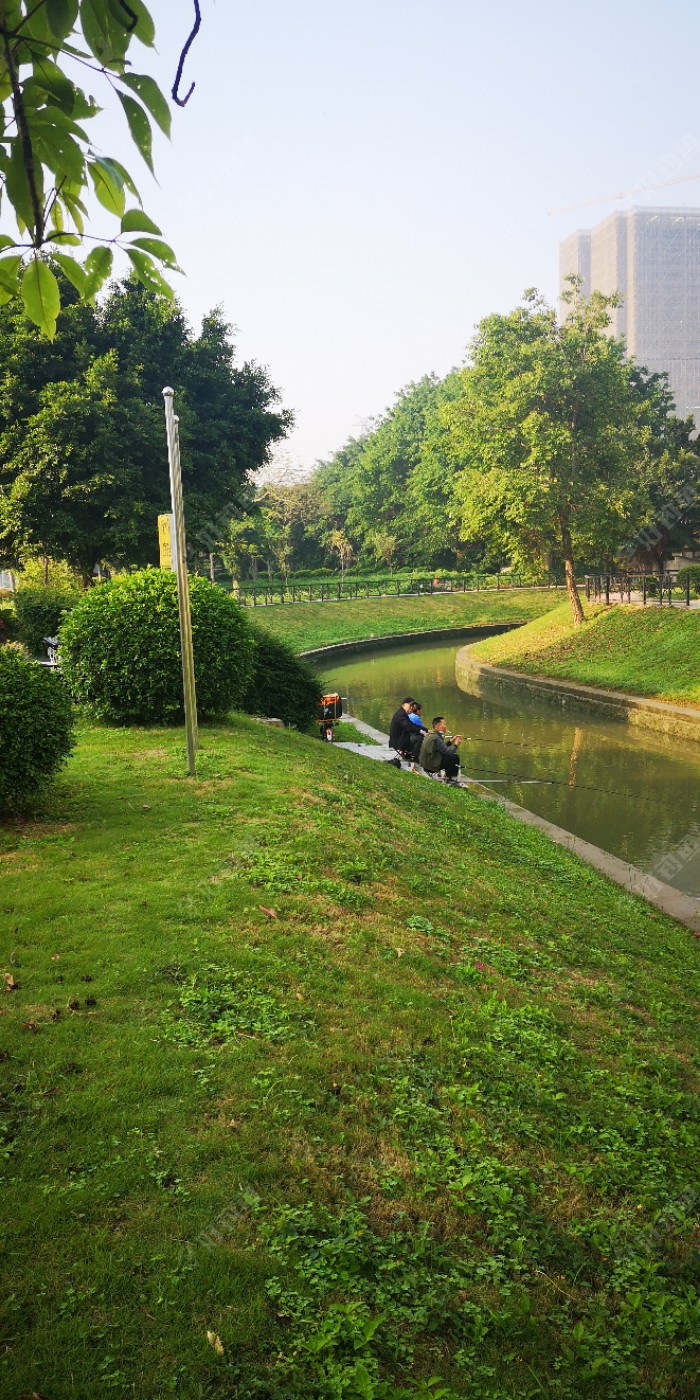 我在往小河沟旁边一看，今天