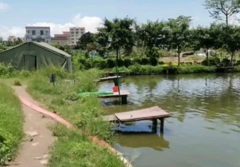 横栏贴边阳光钓鱼场