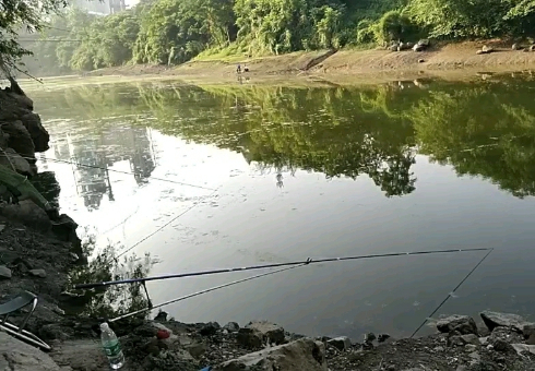 沙溪巨龙沱大桥