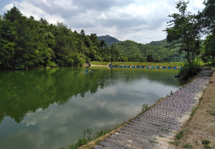 老吕山塘钓场