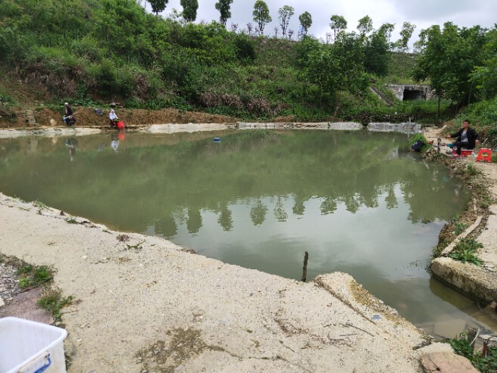 石板物流园垂钓塘