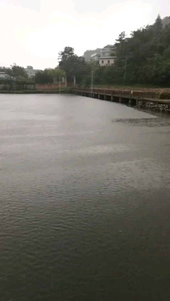 双龙老郑练杆塘