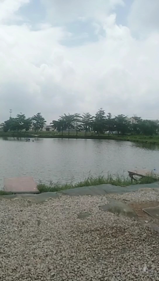 月环云逸钓鱼场