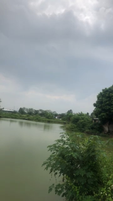 文仔休闲钓鱼场