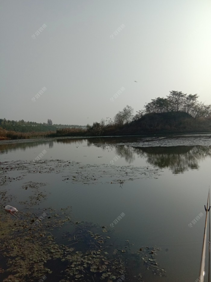 正前方，今天没有一丝风，河