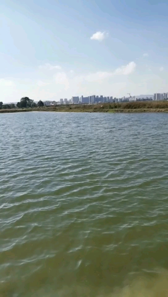 曲靖夏木精品路亚钓场