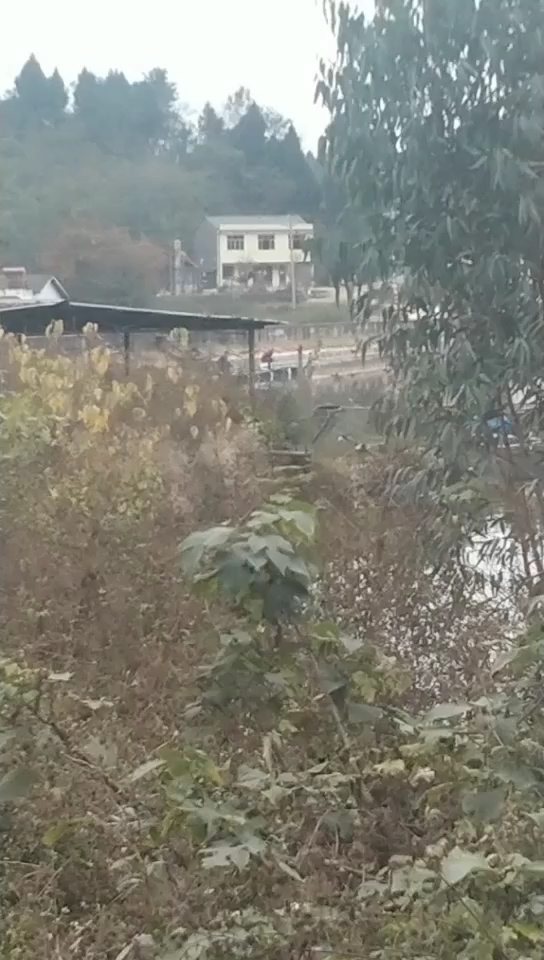 蝶湖钓游露营场