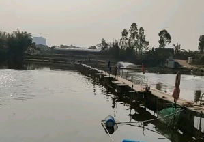 化龙好地方钓鱼场