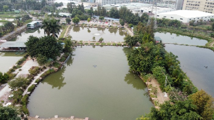 港口聚龙湾钓鱼场