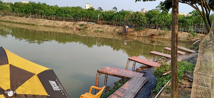 池塘边垂钓私房菜