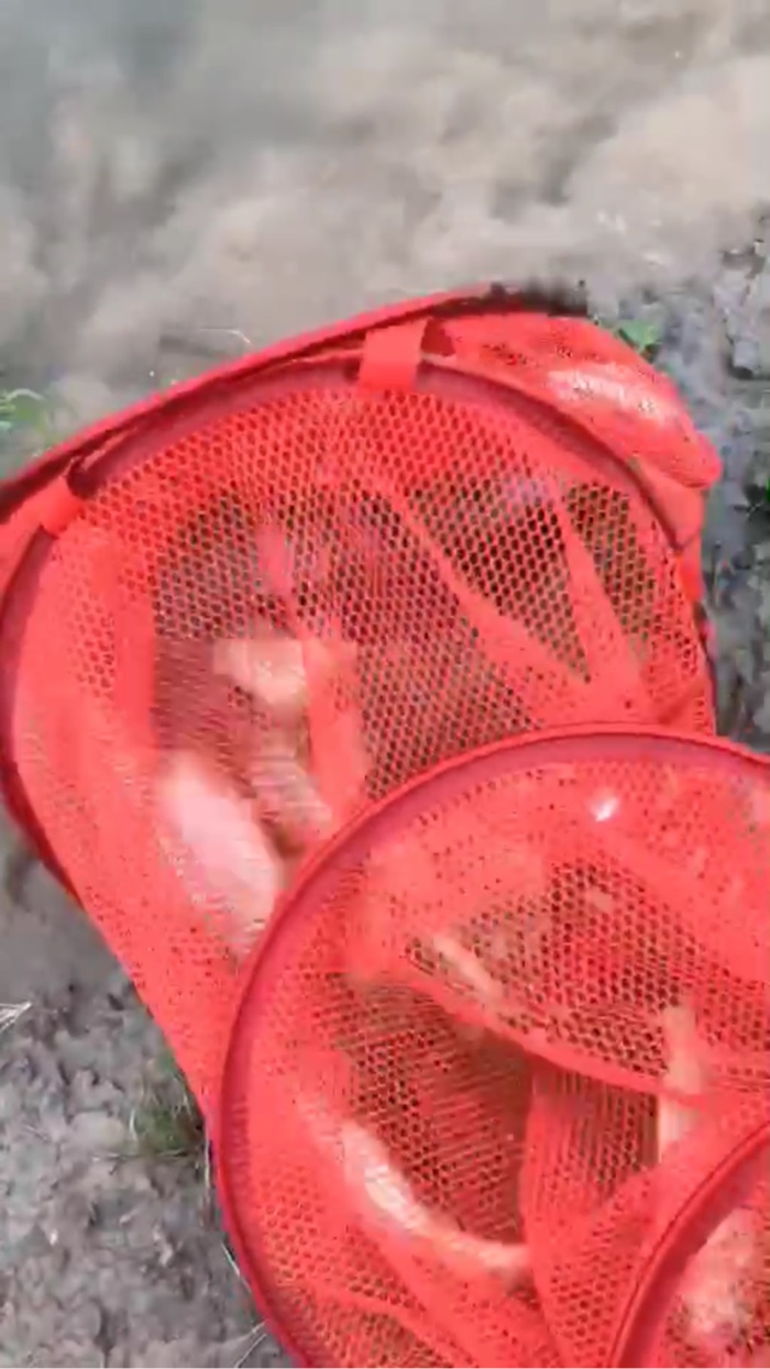 cjd0iVbAZLNV8rq4vO5tj3sX6ldzJ.jpg