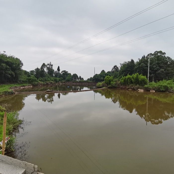 羔羊村欢乐垂钓