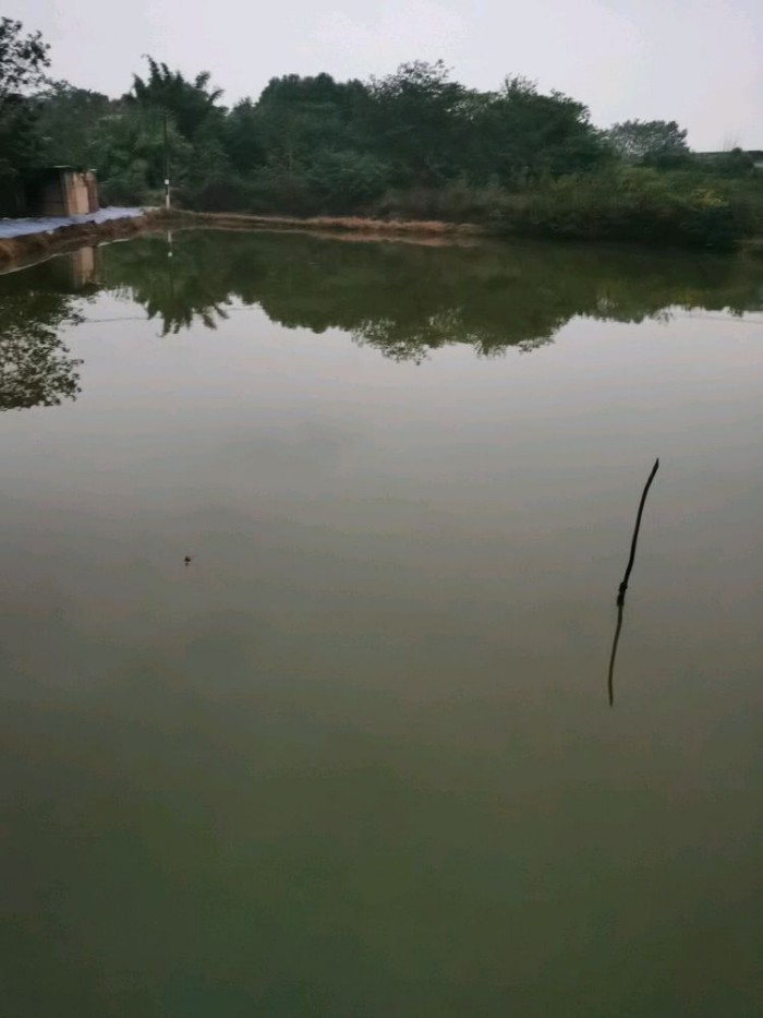 斗子堰欢乐垂钓