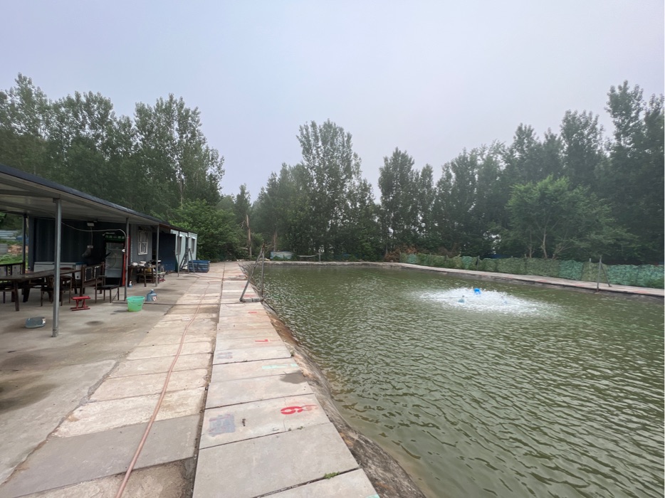 桥北渔多多钓场