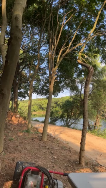 BFS先锋路亚基地