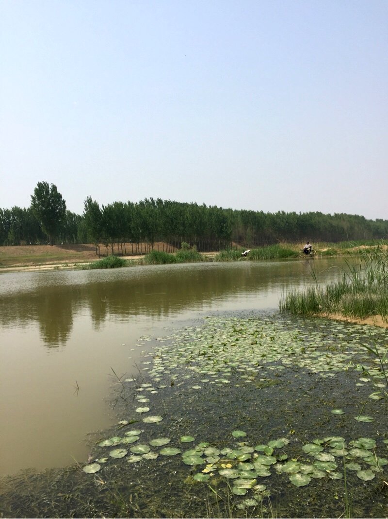 白沟河边界图片