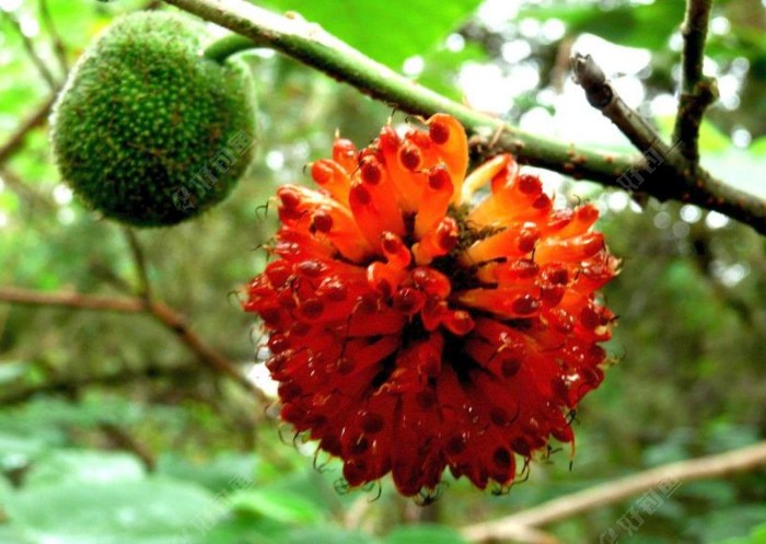 求大师指点路过进来看看谢谢