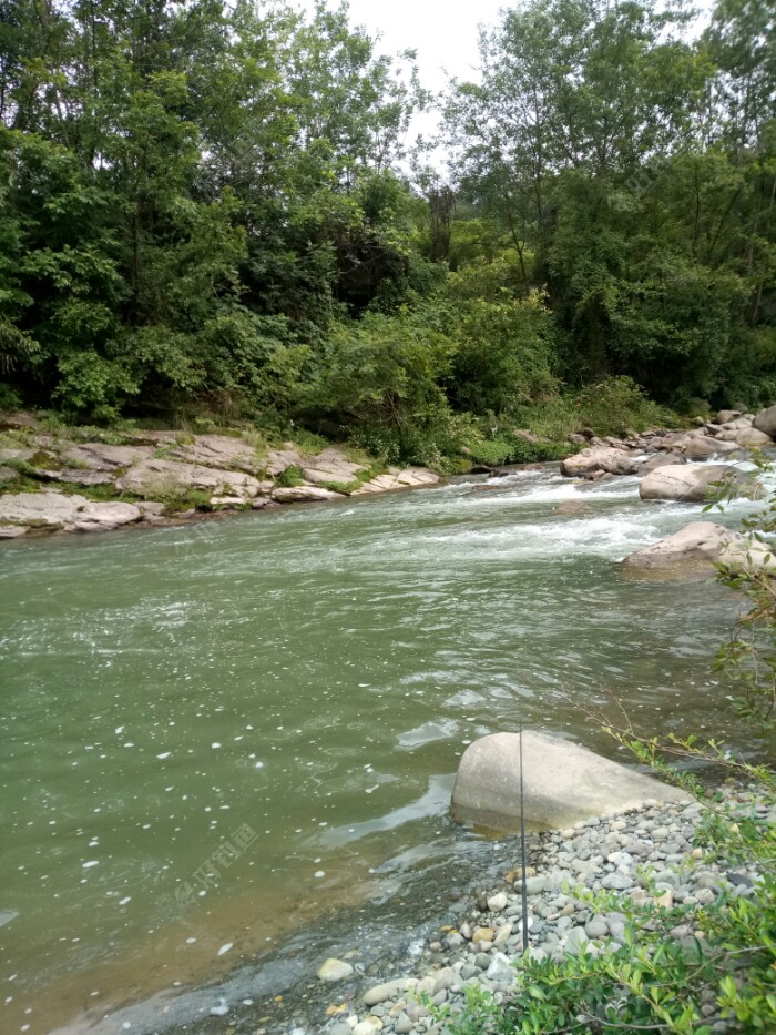 这河里能钓到大鱼吗?